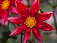 Spica(すぴか)　★かおる★電撃移籍入店決定！