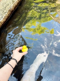 マドンナSANSAIN　ひより（新人♪）