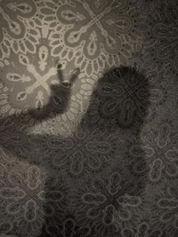  白恋※ハクレンと呼んで下さい