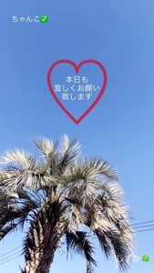 鹿児島ちゃんこ 霧島店　しずか