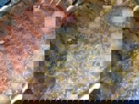 harmonyハーモニー　かおるこ(kaoruko)