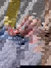 スウィートルーム　さかい