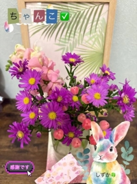 鹿児島ちゃんこ 霧島店　しずか