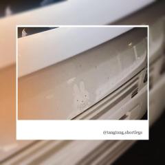  Kurumi【くるみ】