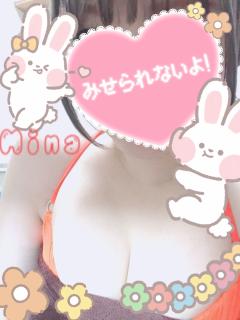 MICHELIN ミシュラン　ミナ(MINA)