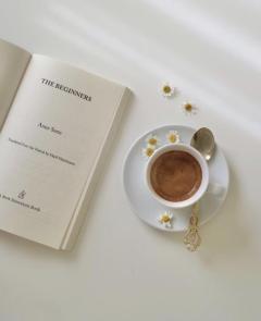 キャンディ　セネカ