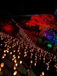 ぷにっ娘　真白ﾏｼﾛ