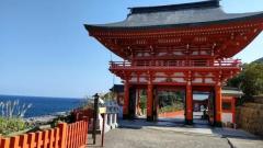 鹿児島ちゃんこ薩摩川内店　きなこ