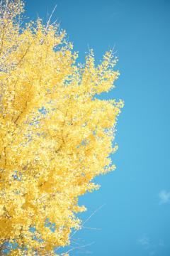 シングルママ　めい☆清楚綺麗妻