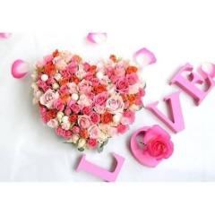 鹿児島ちゃんこ薩摩川内店　なな