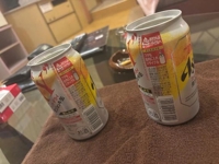 フェアリー　ねね