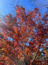  つかさ※マジで人気出ますよ！！