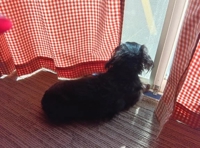 待ちナビ　せいこ