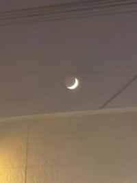 鹿児島ちゃんこ 霧島店　しずか