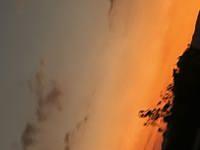 ママらんど宮崎店　りんか☆極上の美熟女