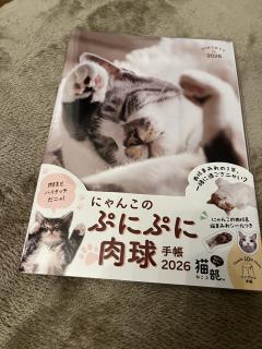 Mrs. LUSH　多江子