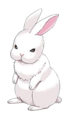 CLUB LUMINE　Haru【ハル】