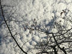 人妻ステーションポータブル　ゆえ