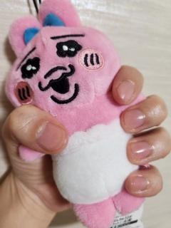  くるみちゃん♪