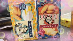 MICHELIN ミシュラン　アン　ann