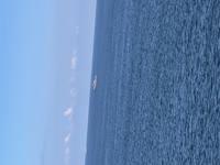 ママらんど宮崎店　りんか☆極上の美熟女