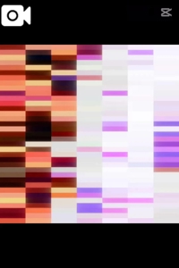 宮崎ちゃんこ都城店　くぅ