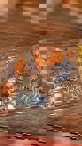 宮崎ちゃんこ中央通店　さや