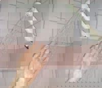 CLUB ULTRA　ほのか