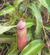 マドンナSANSAIN　りく