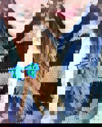 大人の遊園痴「スピーディー」　すず（感度ビンビン癒し妻）