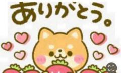 CLUB LUMINE　Haru【ハル】