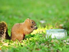 Spica(すぴか)　★かおる★電撃移籍入店決定！