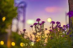 Spica(すぴか)　★ラン★超淫乱美女降臨