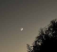 ご主人様いらっしゃい 大分店 神舌ゆい♡最強エロ女（痩せてきた）