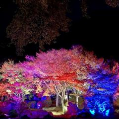 CLUB LUMINE　Mashiro【ましろ】