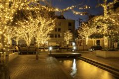 人妻24時　しずく