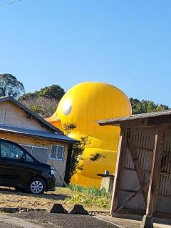 MANIN-ONREIマン淫御礼　蜜璃（みつり）エロ美人