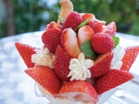 待ちナビ　いろは