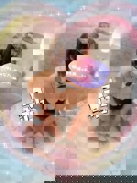 宮崎ちゃんこ中央通店　もも