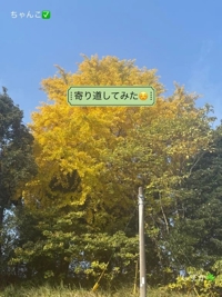 鹿児島ちゃんこ 霧島店　しずか