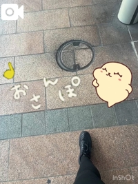 宮崎ちゃんこ都城店　こはる