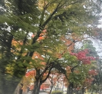 momo♥霧島店　新人未経験りのちゃん♪