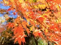 鹿児島ちゃんこ 霧島店　おとは