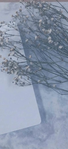 マドンナSANSAIN　かや