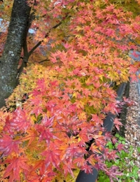 天空のマット熊本店 るな プライベート