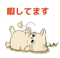 ご予約空いたよぉ