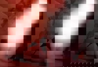 LOHAS(ロハス)　ひまり