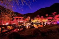 人妻24時　しずく