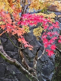 待ちナビ るな おはようございます