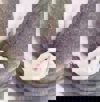 宮崎ちゃんこ中央通店　ゆか